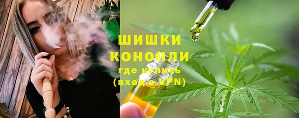 PSILOCYBIN Богородск